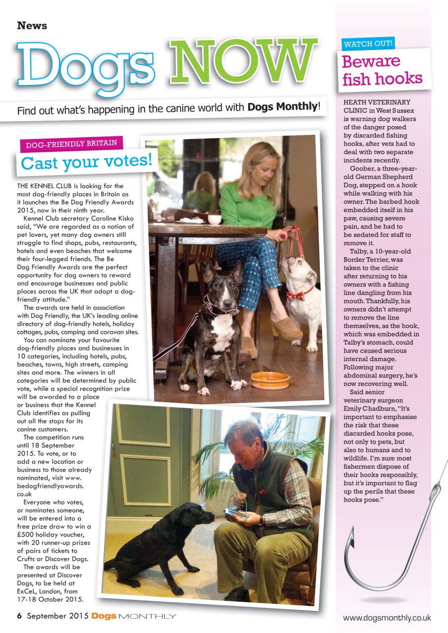 Dogs Monthly Preview Pages
