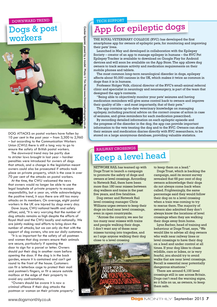 Dogs Monthly Preview Pages