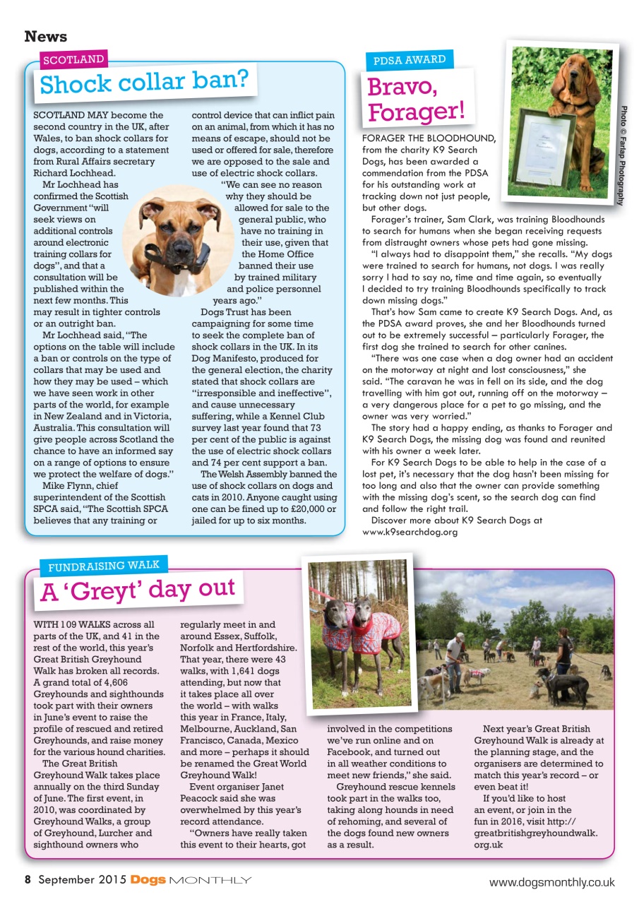 Dogs Monthly Preview Pages