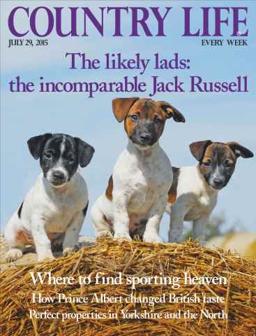 Country Life issue 29th July 2015