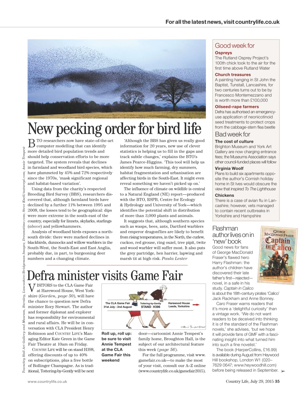 Country Life Preview Pages