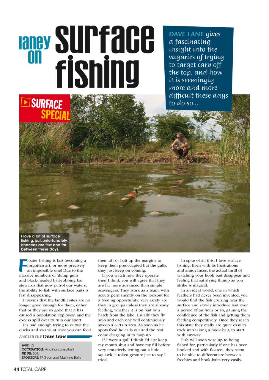 Total Carp Preview Pages