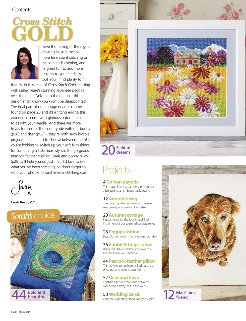 Cross Stitch Gold Preview Pages