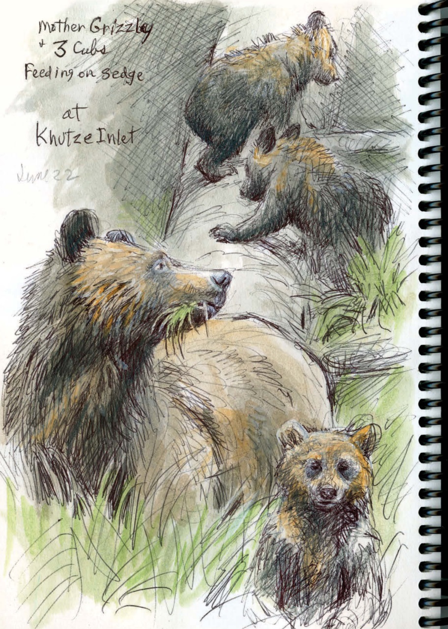 Canadian Geographic Preview Pages