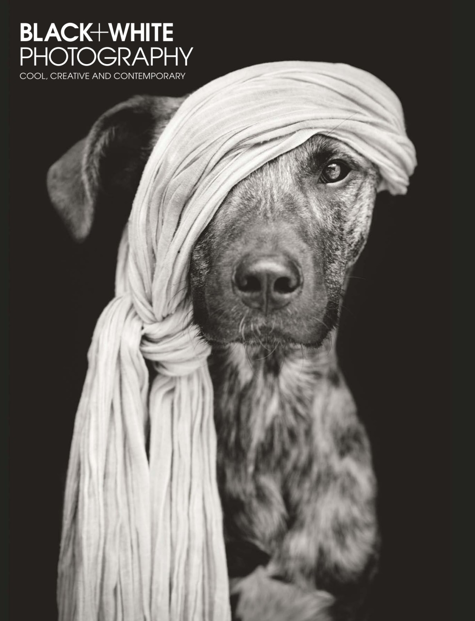 Black+White Photography Preview Pages