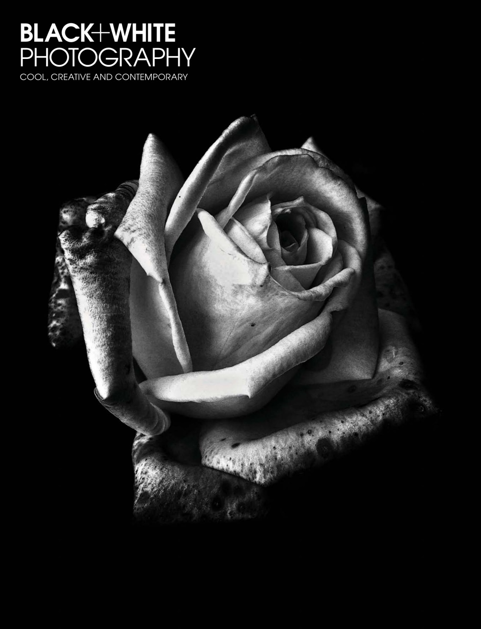 Black+White Photography Preview Pages