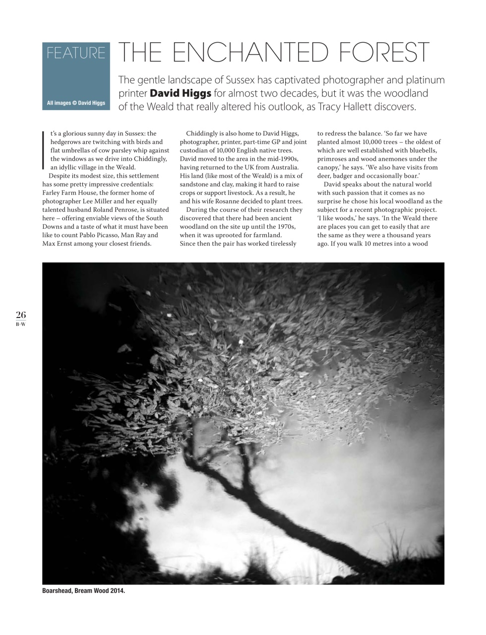 Black+White Photography Preview Pages