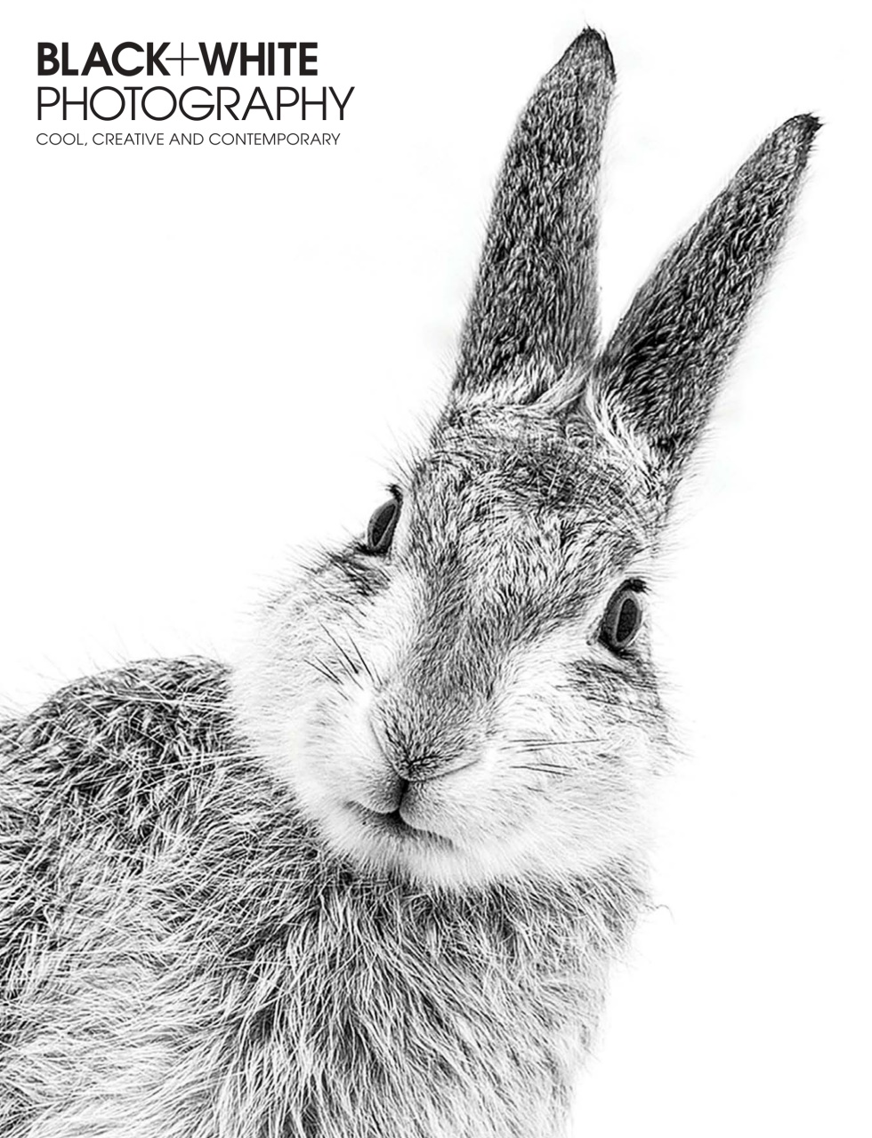 Black+White Photography Preview Pages