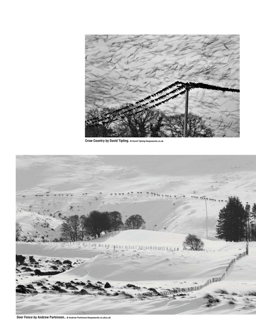 Black+White Photography Preview Pages