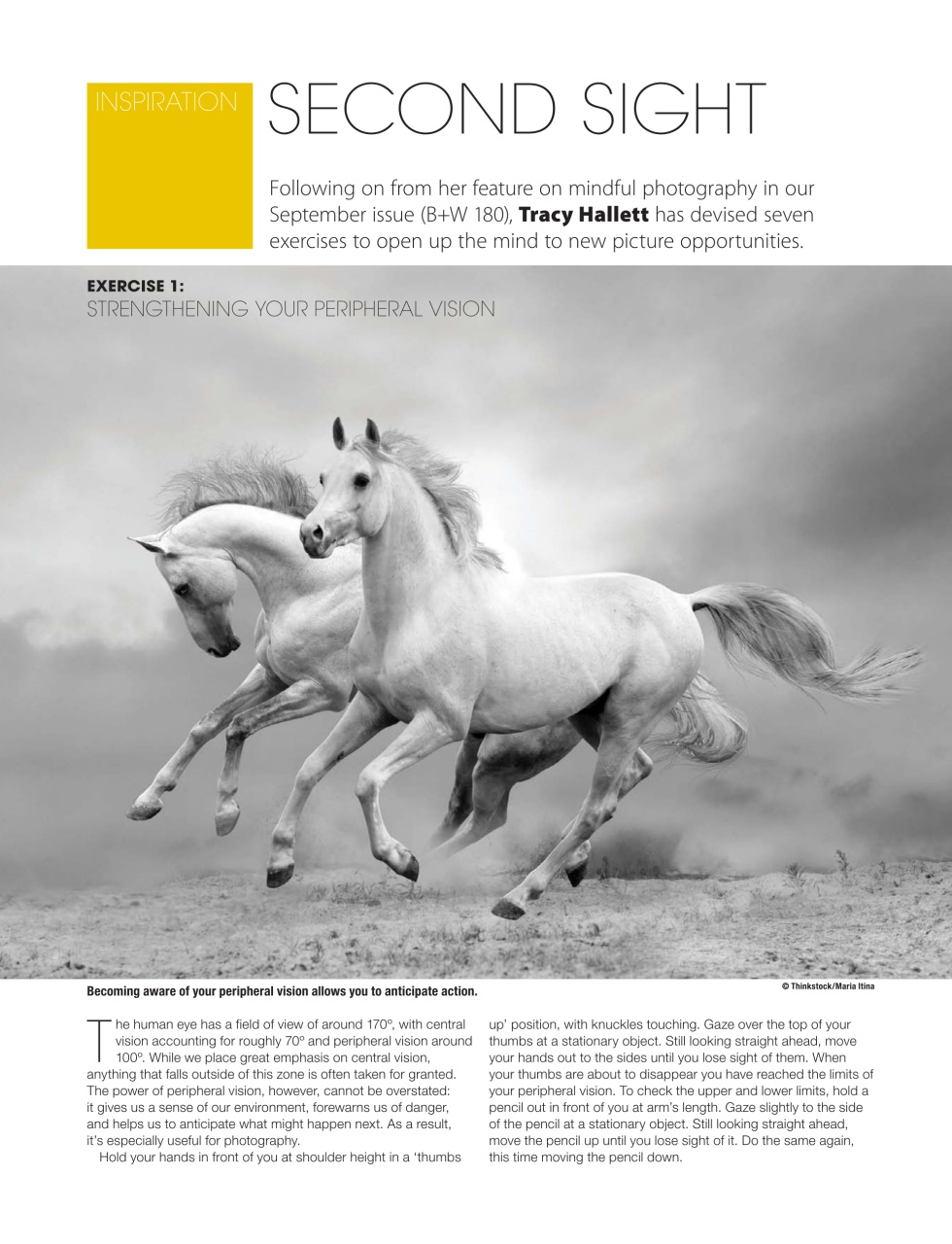 Black+White Photography Preview Pages