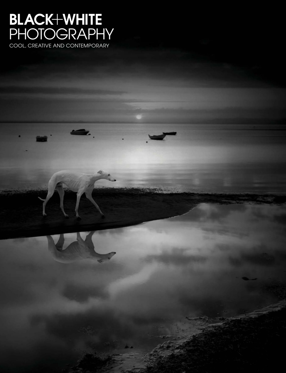 Black+White Photography Preview Pages