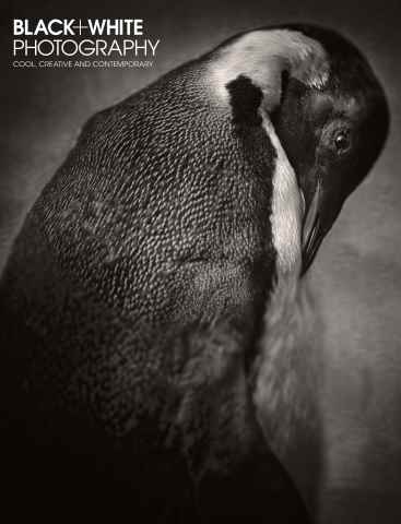 Black+White Photography issue March 2016