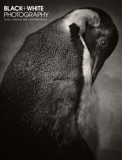 Black+White Photography issue 