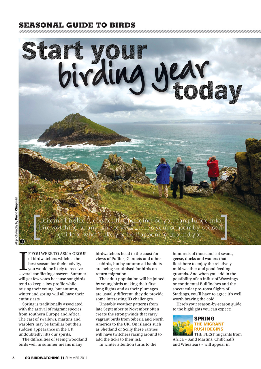 Go Birdwatching Preview Pages