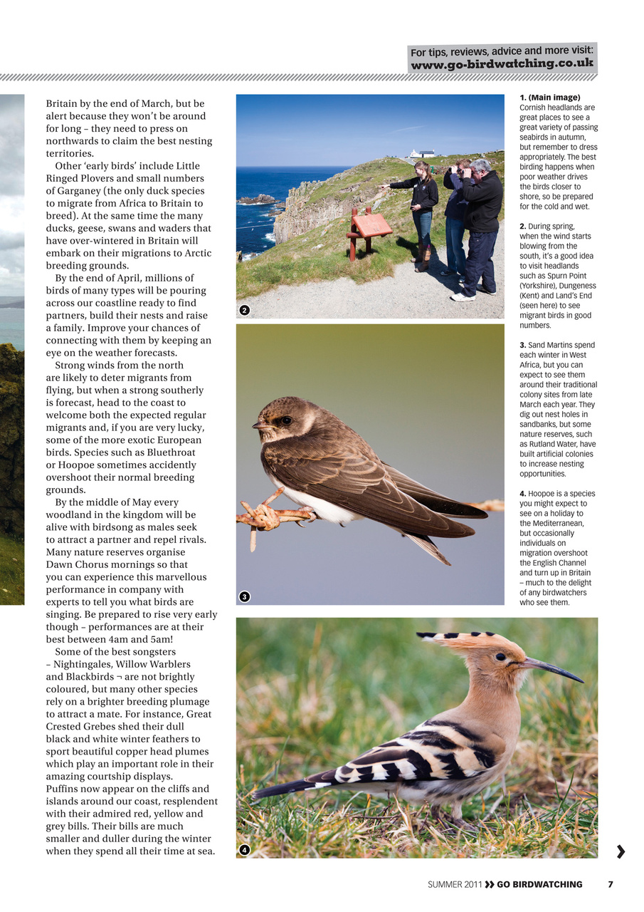 Go Birdwatching Preview Pages