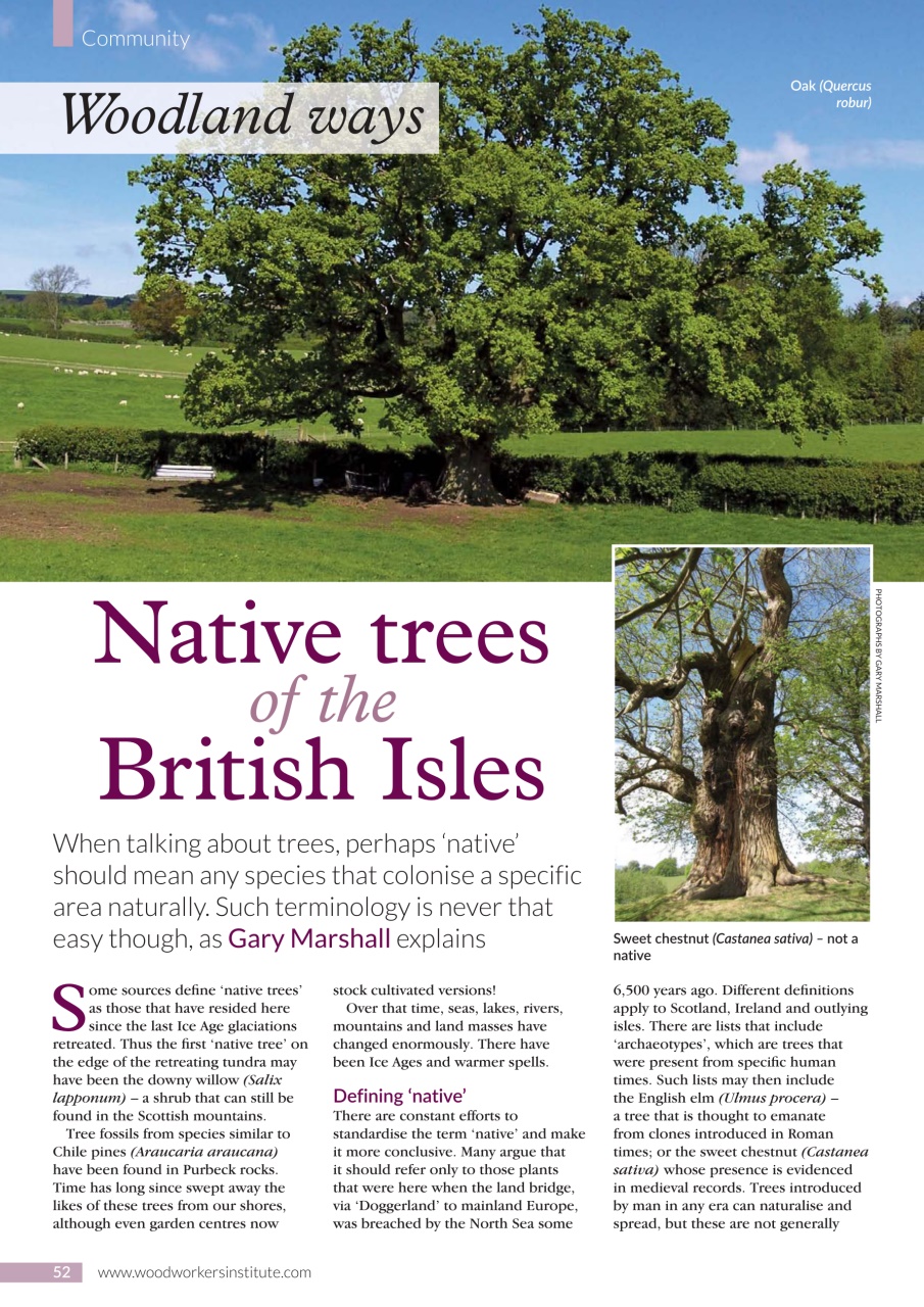 Woodworking Crafts Magazine Preview Pages