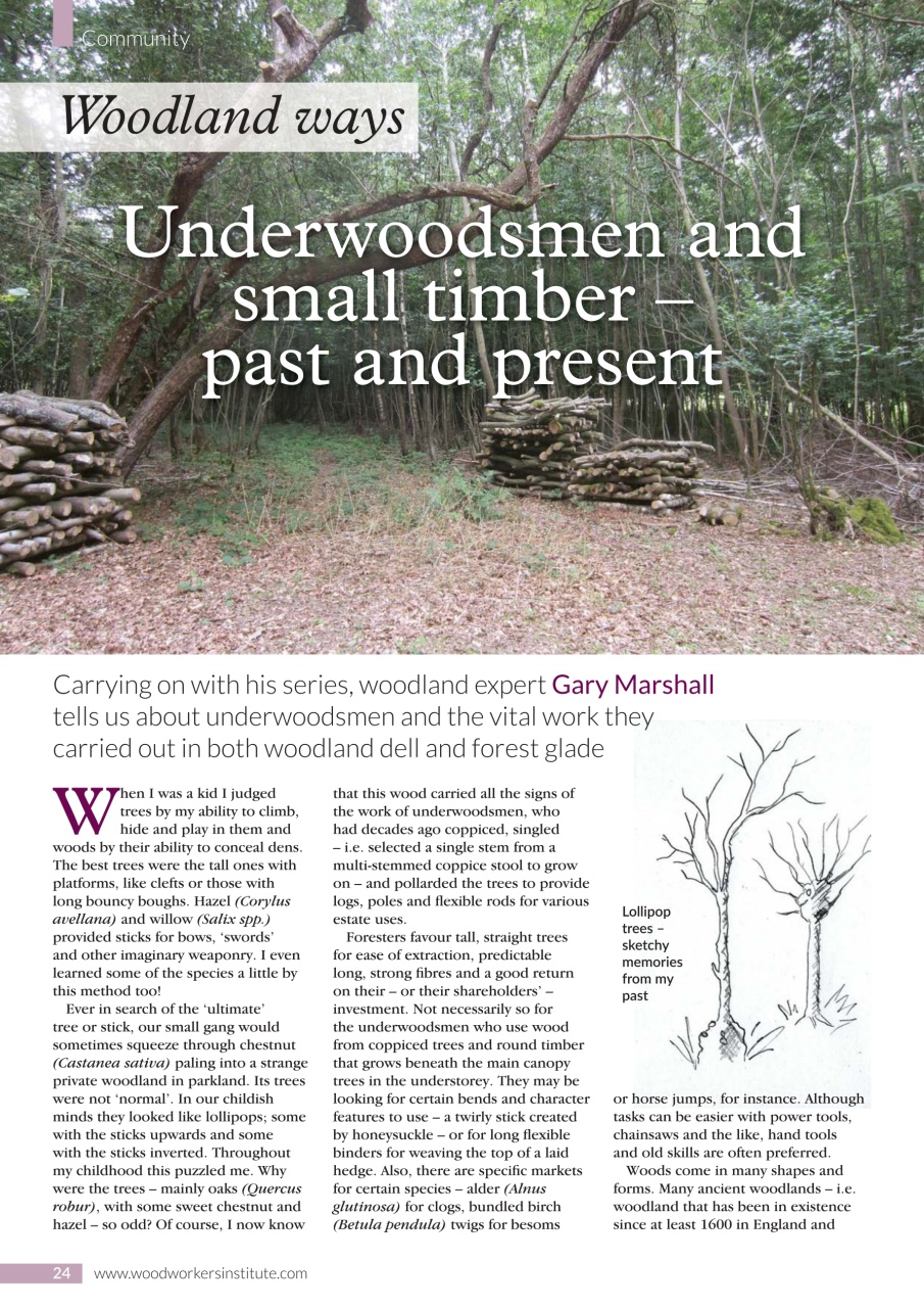 Woodworking Crafts Magazine Preview Pages