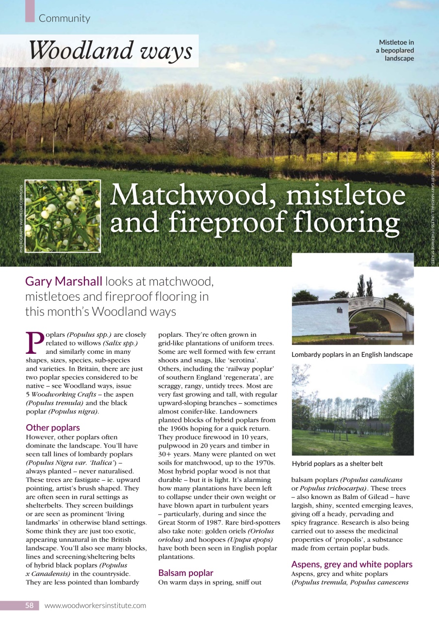 Woodworking Crafts Magazine Preview Pages