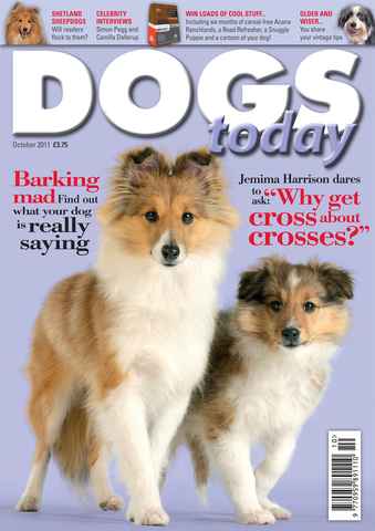 Dogs Today Magazine issue October 2011