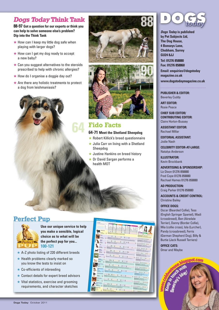 Dogs Today Magazine Preview Pages