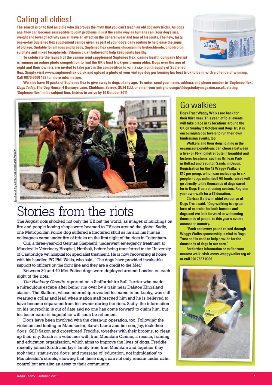 Dogs Today Magazine Preview Pages