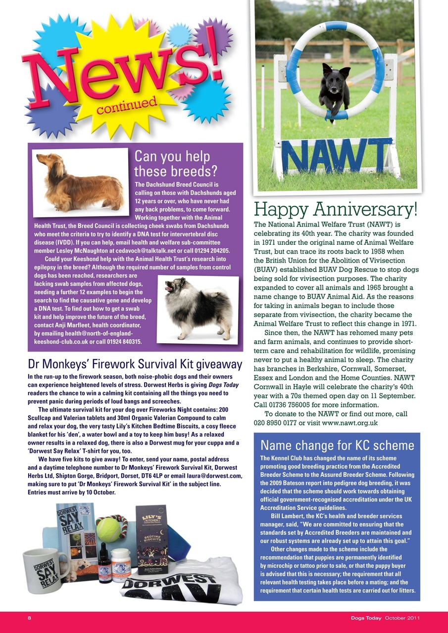 Dogs Today Magazine Preview Pages