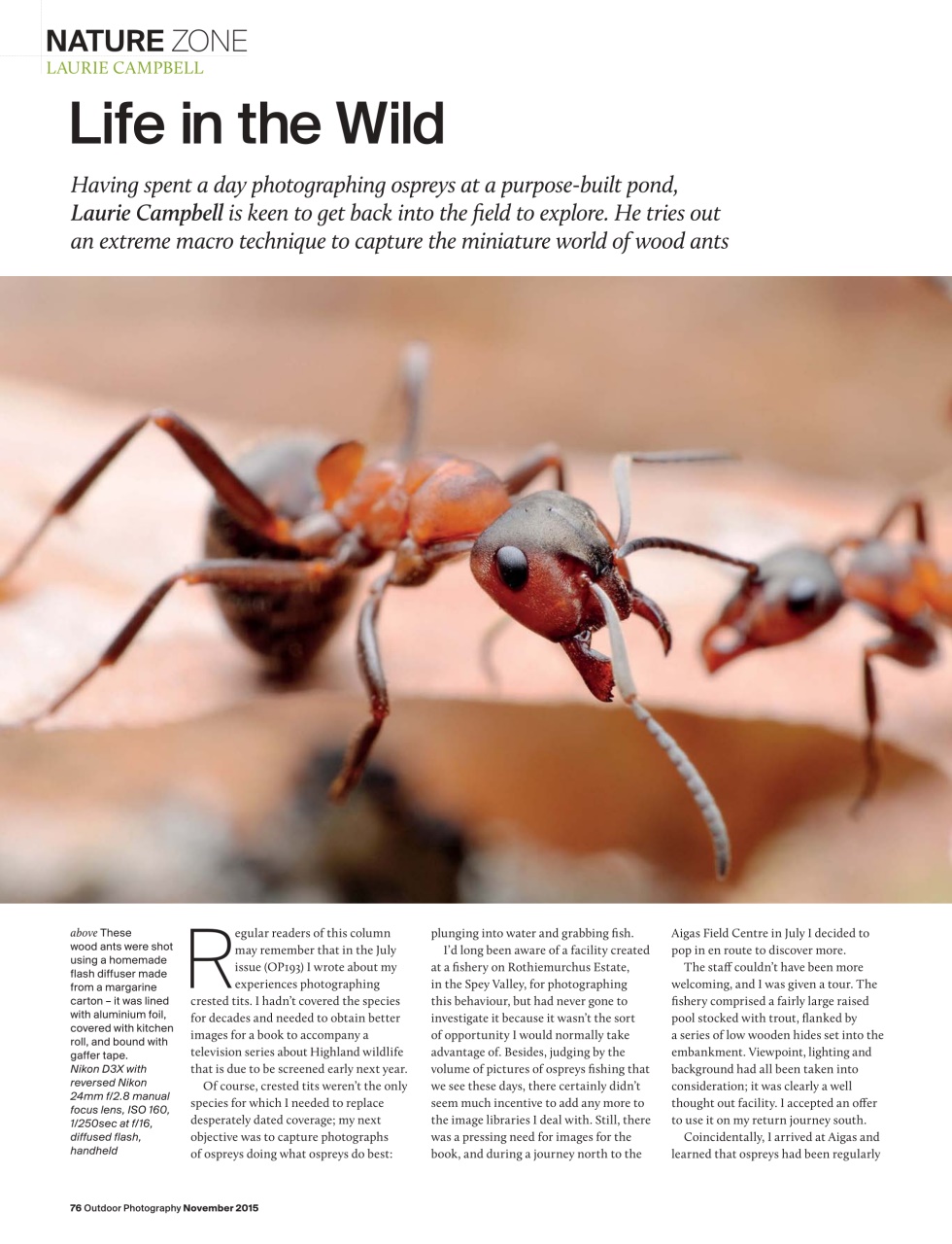 Outdoor Photography Preview Pages