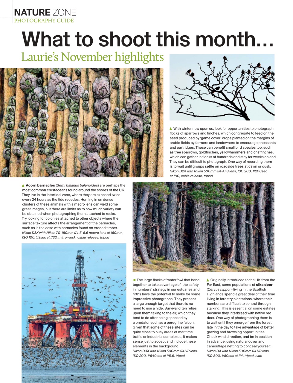 Outdoor Photography Preview Pages