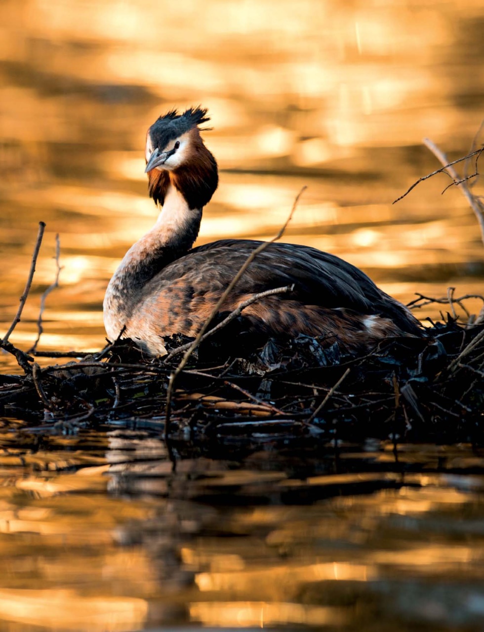 Outdoor Photography Preview Pages