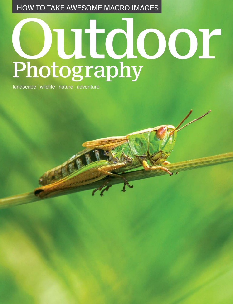 Outdoor Photography Preview Pages