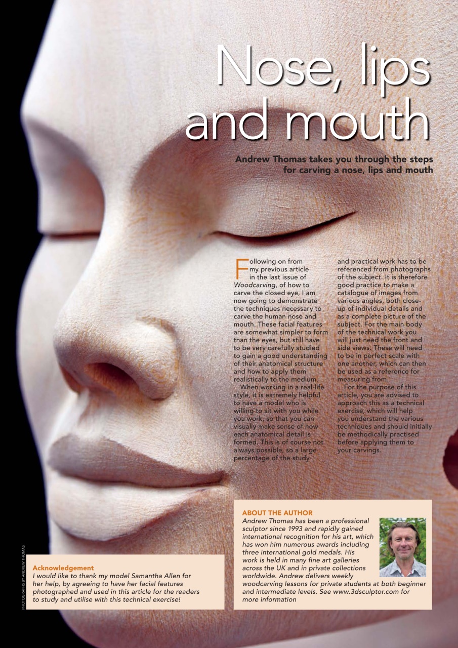 Woodcarving Preview Pages