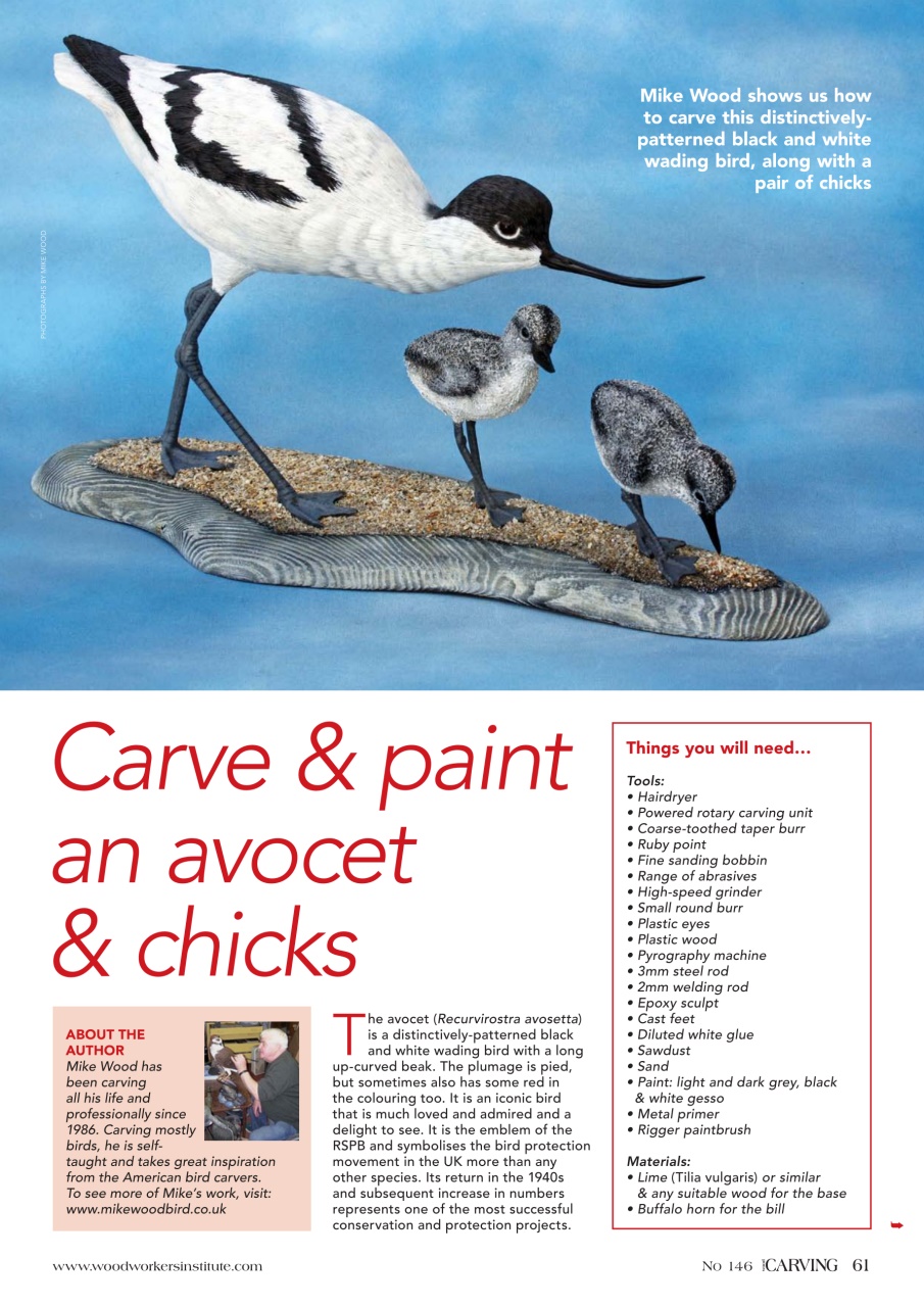 Woodcarving Preview Pages