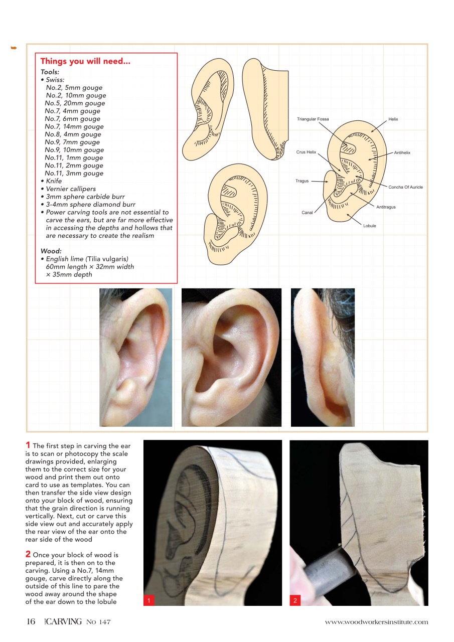 Woodcarving Preview Pages