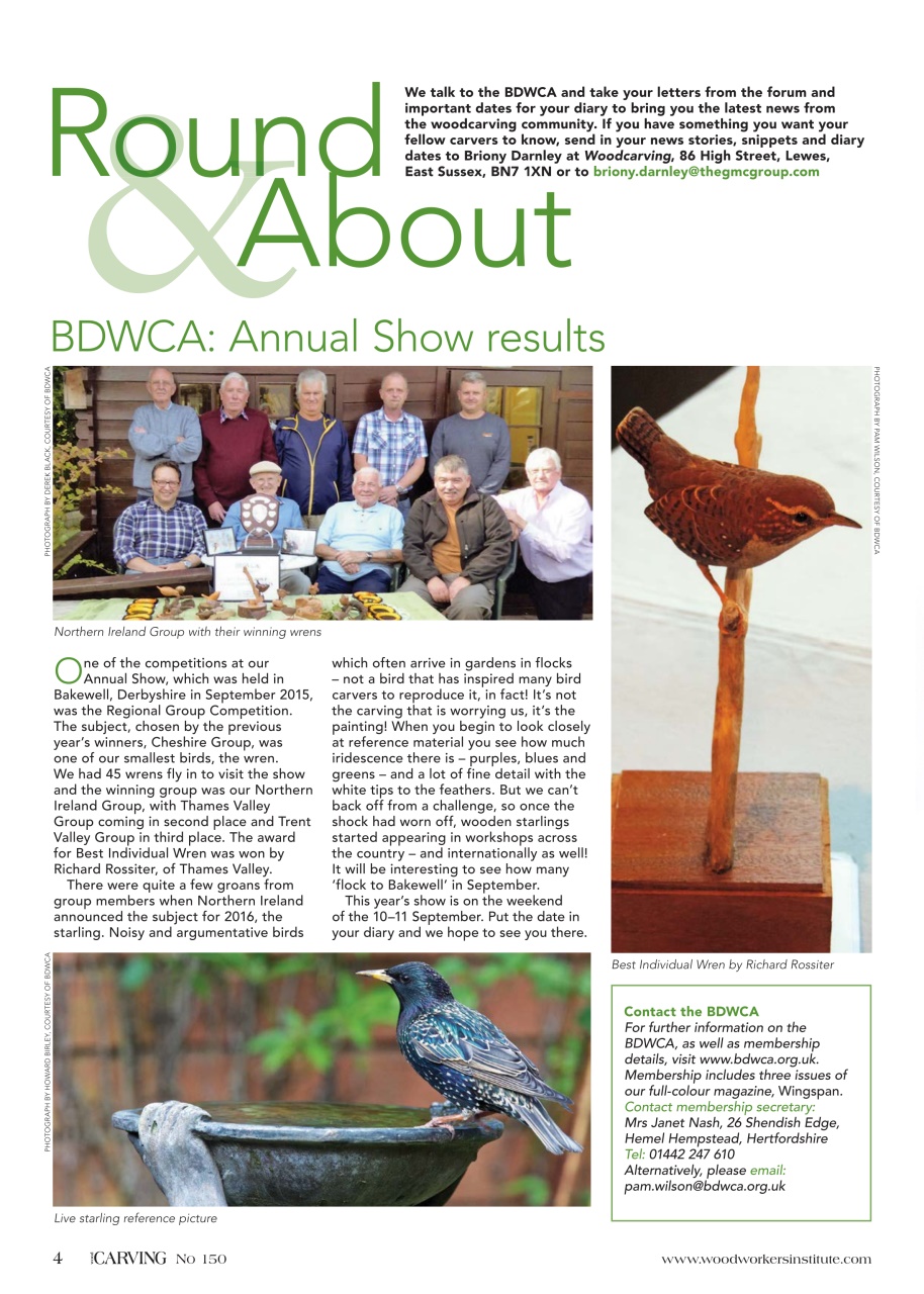 Woodcarving Preview Pages