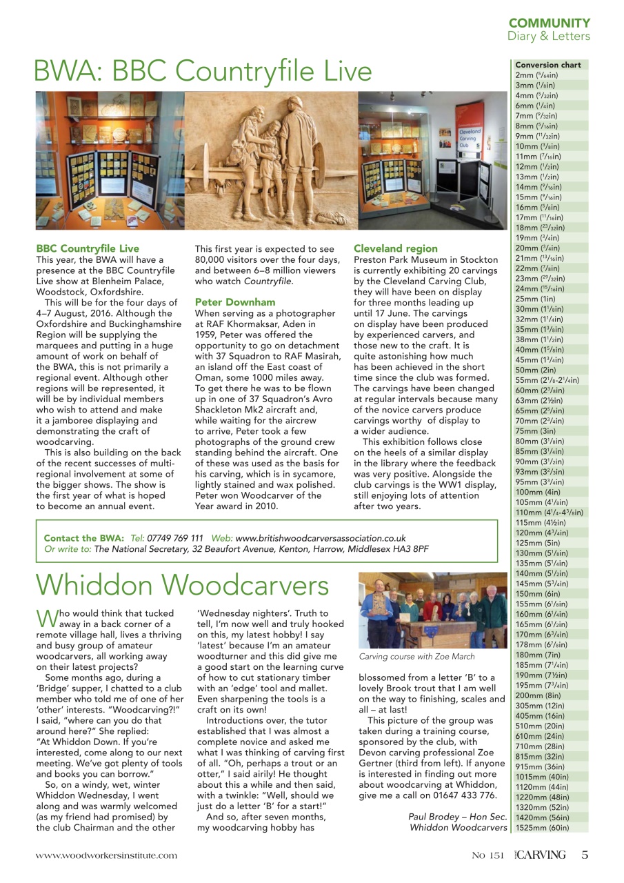 Woodcarving Preview Pages