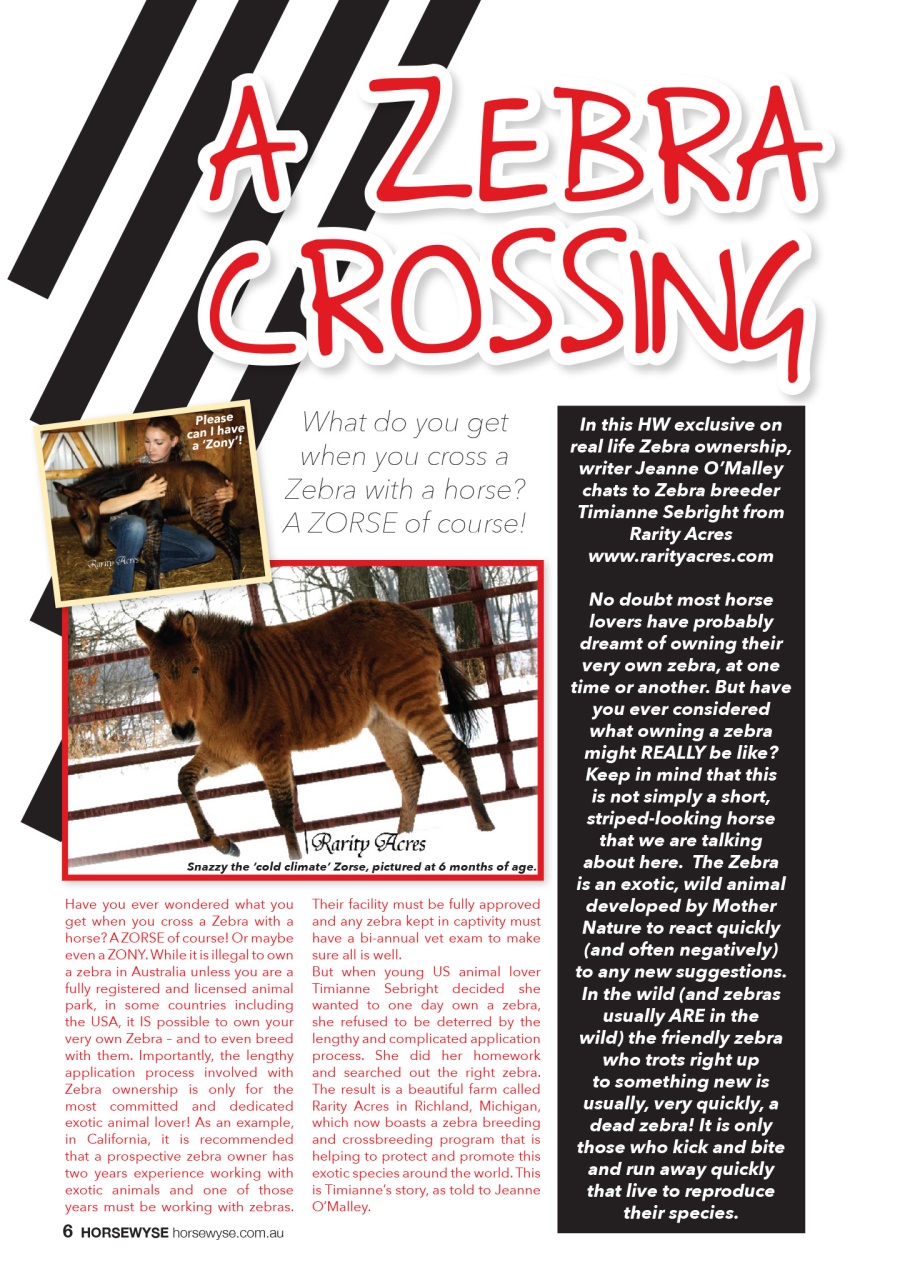 HorseWyse Magazine Preview Pages