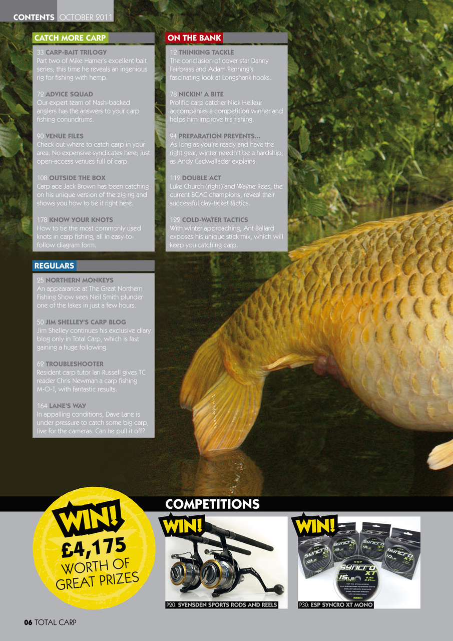 Total Carp Preview Pages