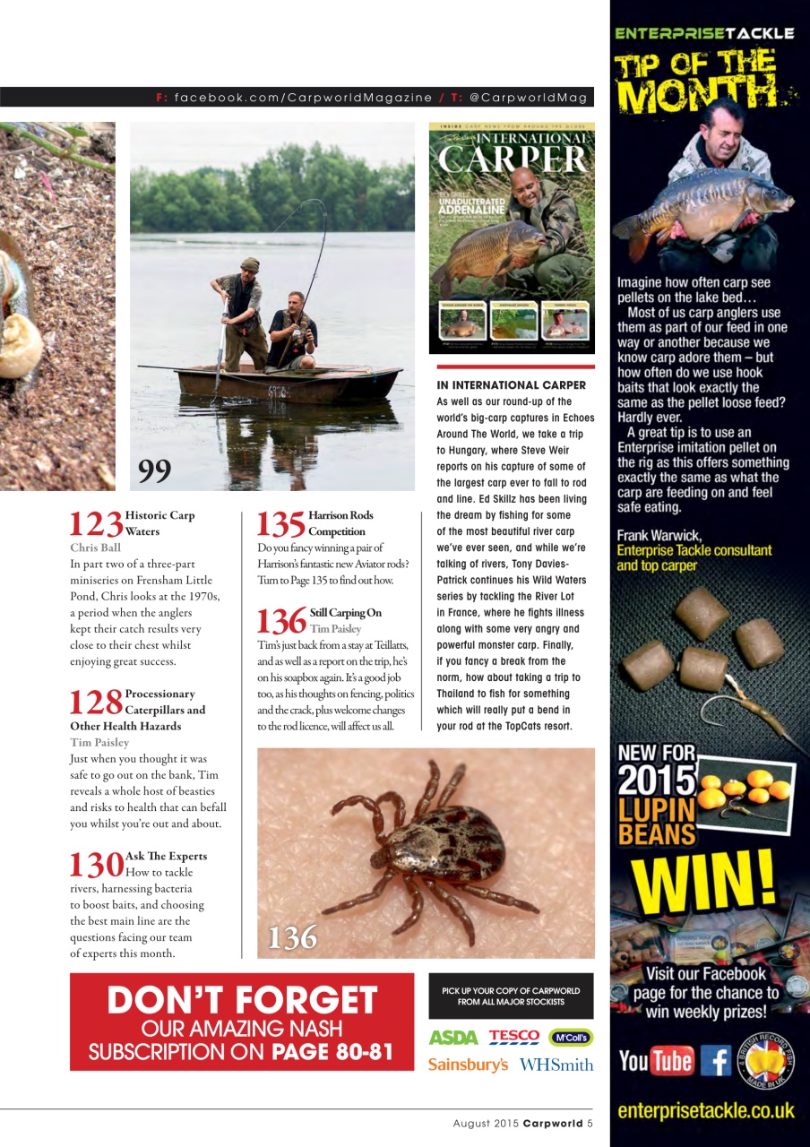 Carpworld Preview Pages