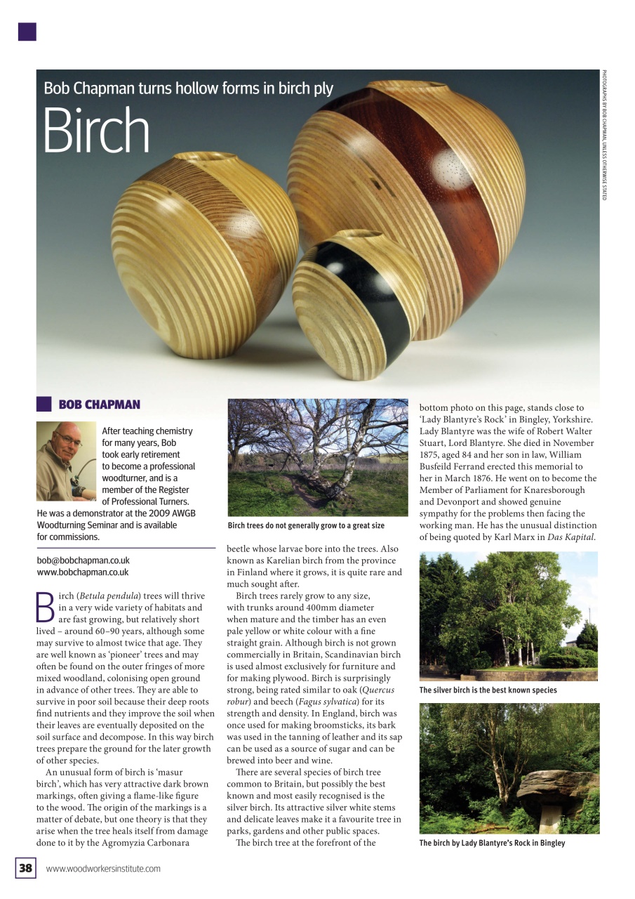 Woodturning Preview Pages