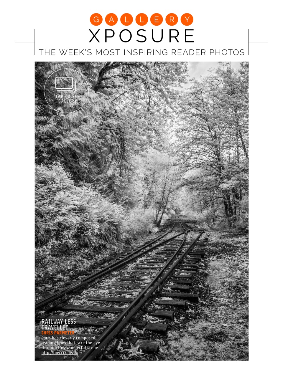 Photography Week Preview Pages