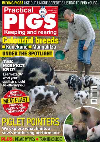 Practical Pigs issue No. 20 Colourful breeds