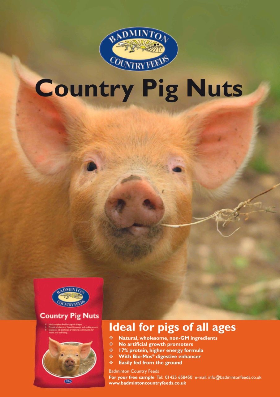 Practical Pigs Preview Pages