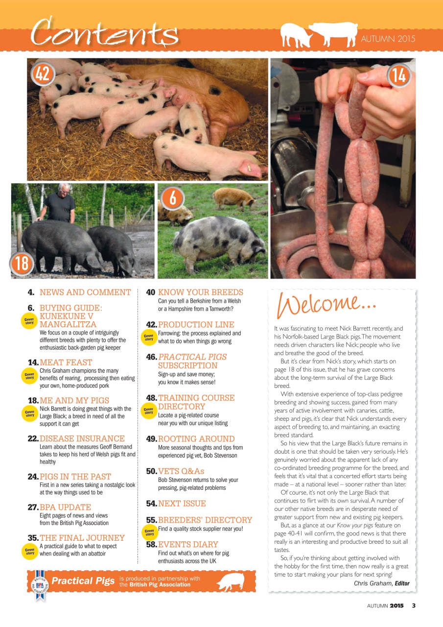 Practical Pigs Preview Pages