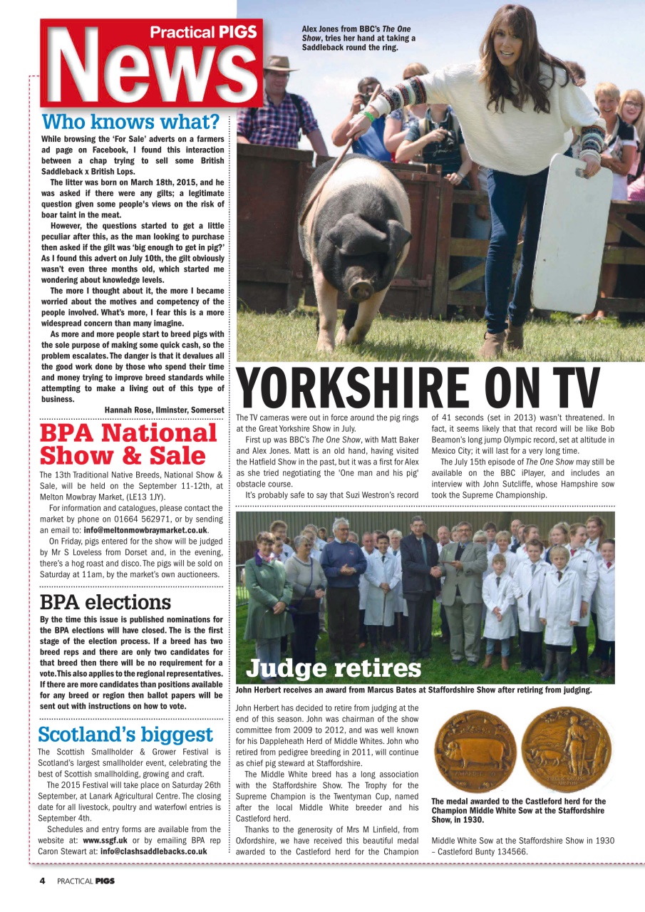 Practical Pigs Preview Pages