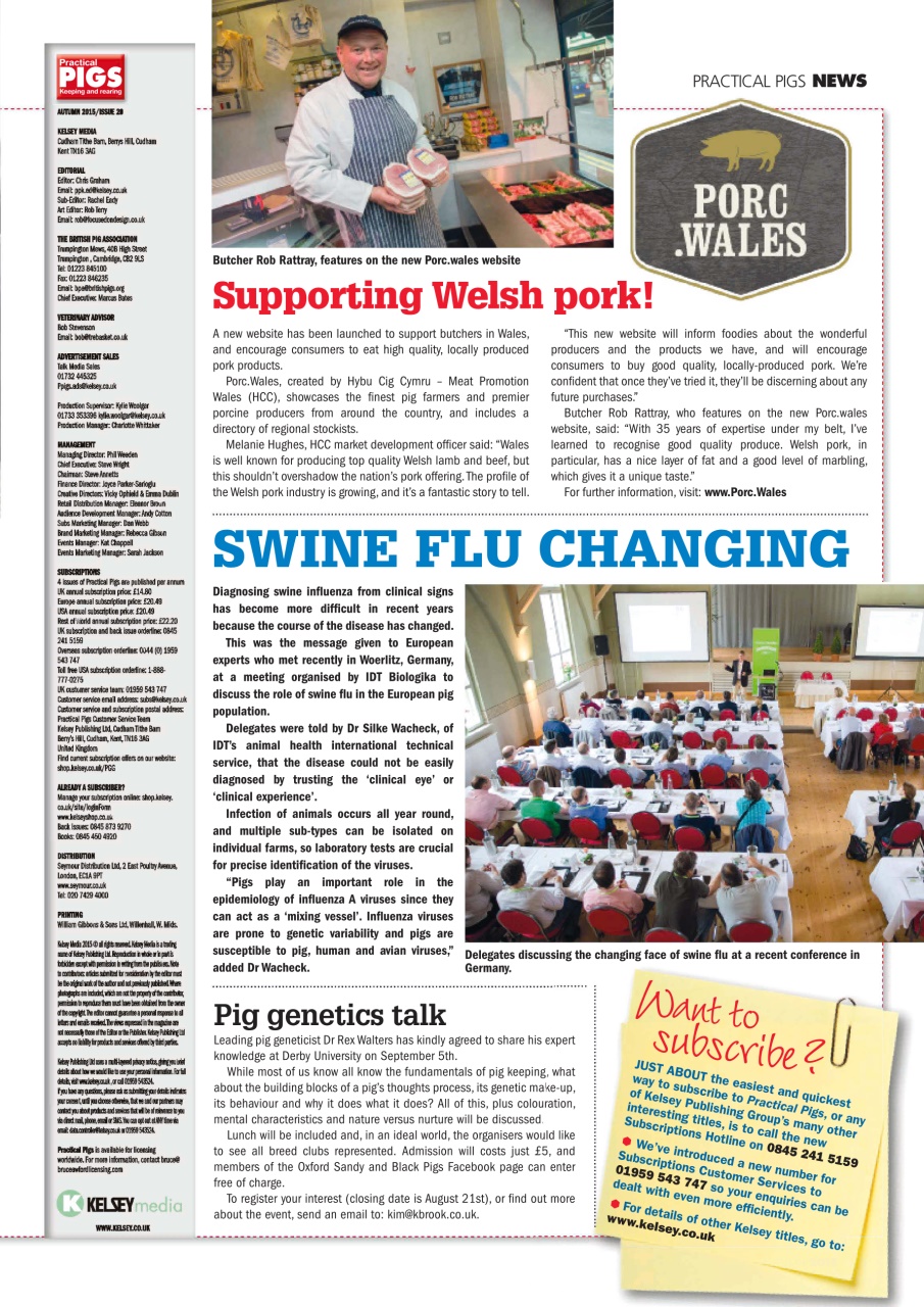 Practical Pigs Preview Pages