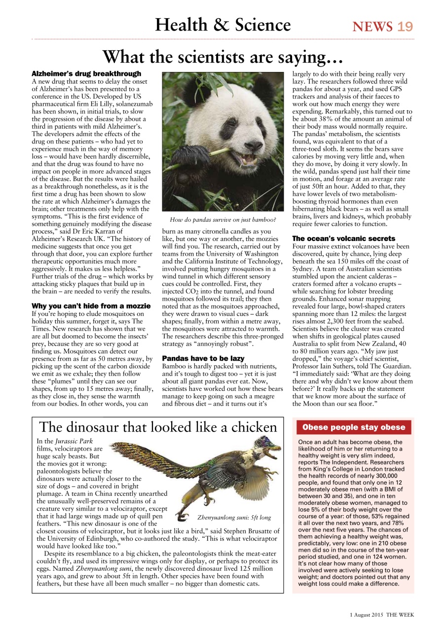 The Week Preview Pages