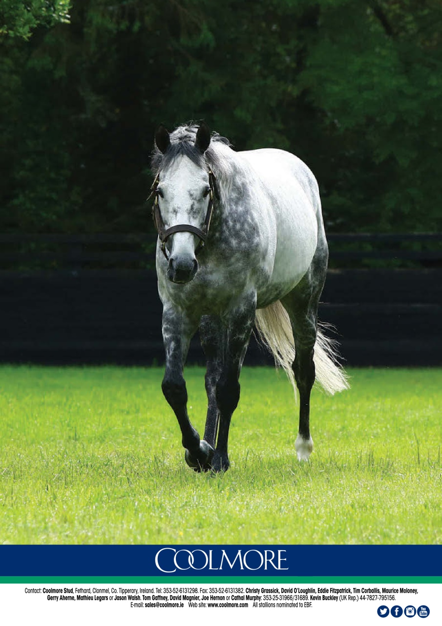 The Owner Breeder Preview Pages