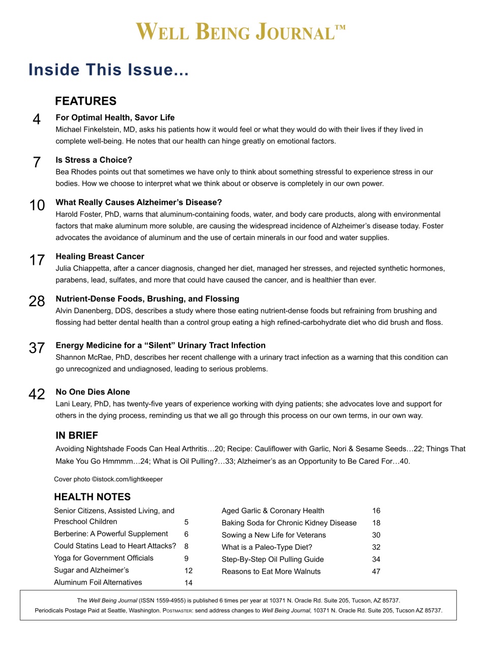 Well Being Journal Preview Pages