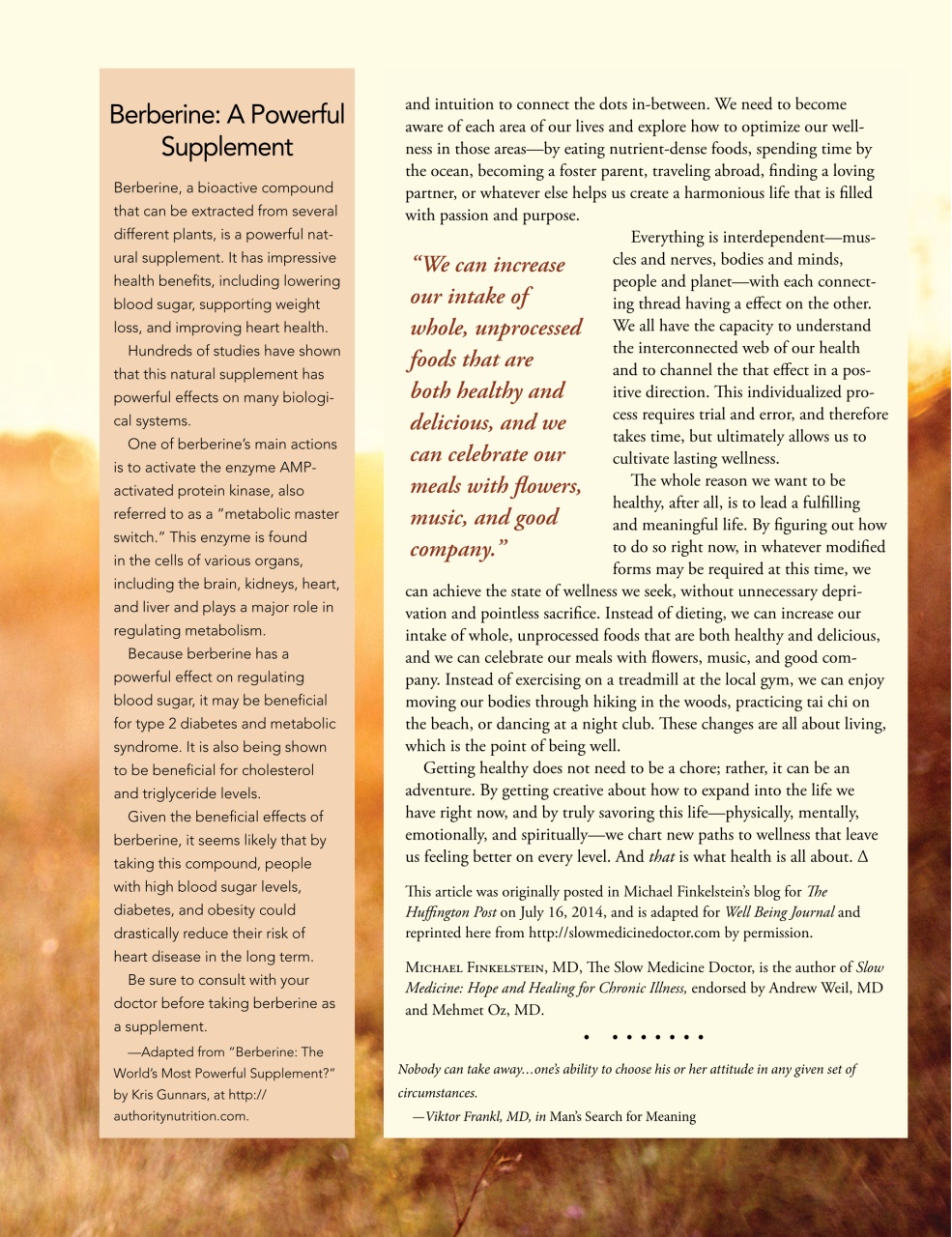 Well Being Journal Preview Pages