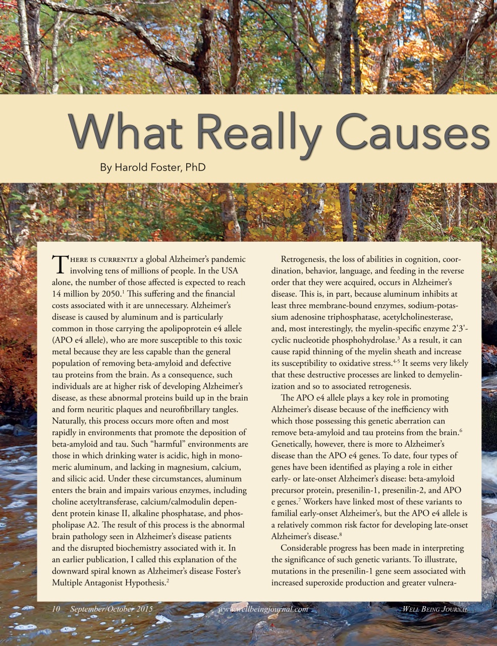 Well Being Journal Preview Pages